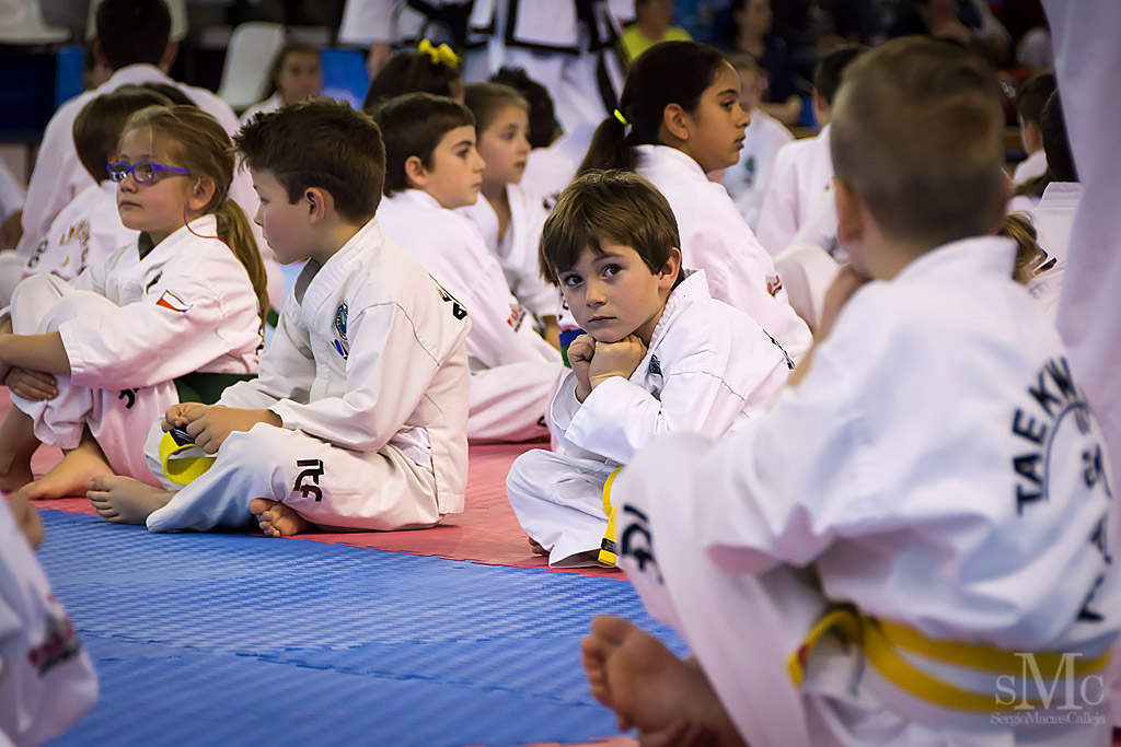 DIA DEL TAEKWONDO ABRIL 2017_3617.JPG